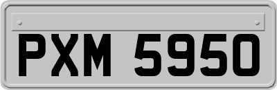 PXM5950