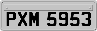 PXM5953