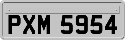 PXM5954