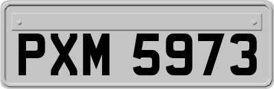 PXM5973