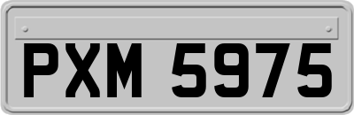 PXM5975