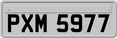 PXM5977