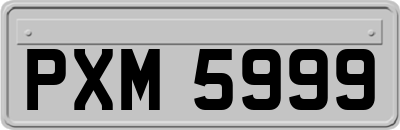 PXM5999