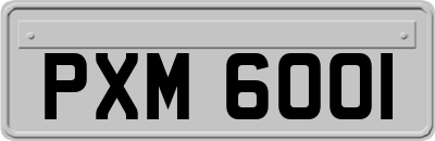 PXM6001