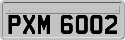 PXM6002