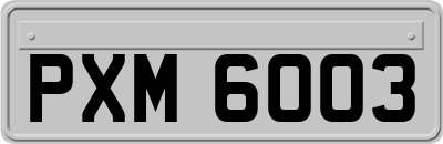 PXM6003