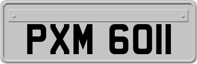 PXM6011