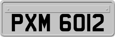 PXM6012