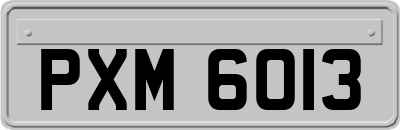 PXM6013