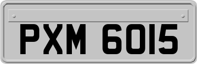 PXM6015