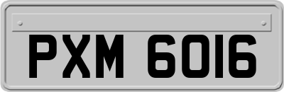 PXM6016