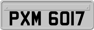 PXM6017