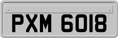 PXM6018