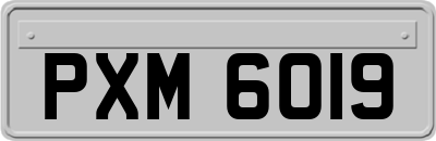 PXM6019