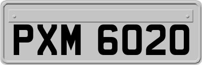 PXM6020