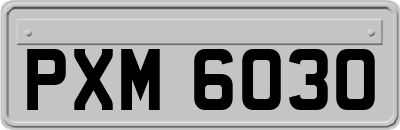 PXM6030