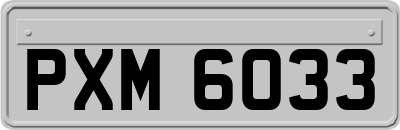 PXM6033