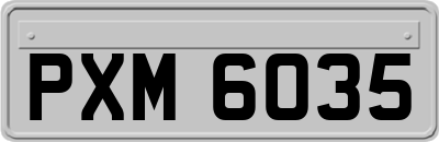 PXM6035