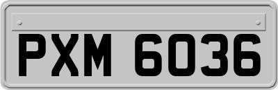 PXM6036