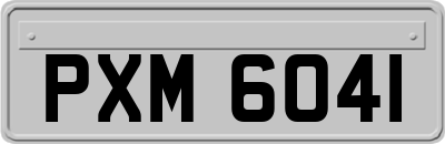 PXM6041