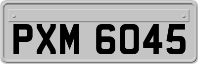 PXM6045