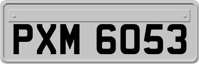 PXM6053