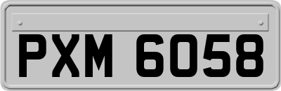 PXM6058