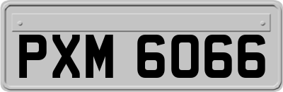 PXM6066