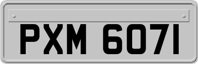 PXM6071