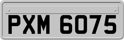 PXM6075