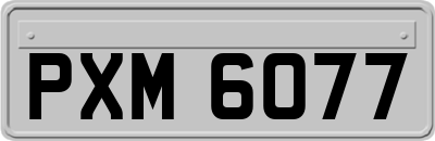 PXM6077