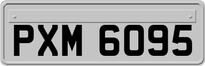 PXM6095