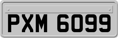 PXM6099