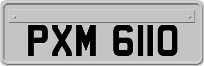 PXM6110