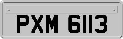 PXM6113