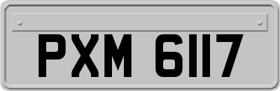 PXM6117