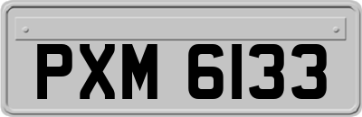 PXM6133