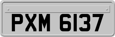 PXM6137