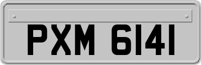 PXM6141