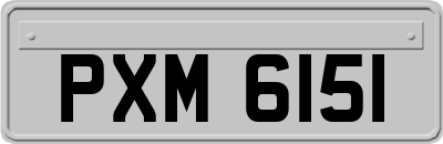 PXM6151