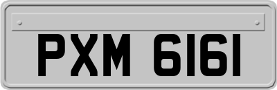 PXM6161