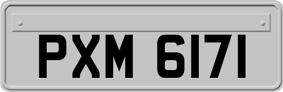 PXM6171