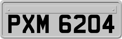 PXM6204