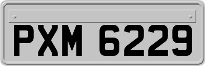 PXM6229