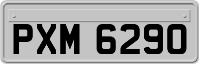 PXM6290