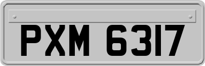 PXM6317