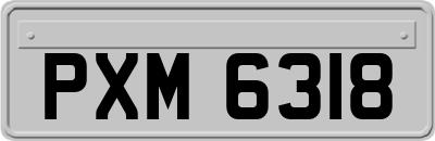 PXM6318