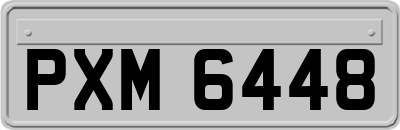 PXM6448