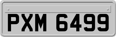 PXM6499