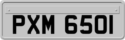 PXM6501